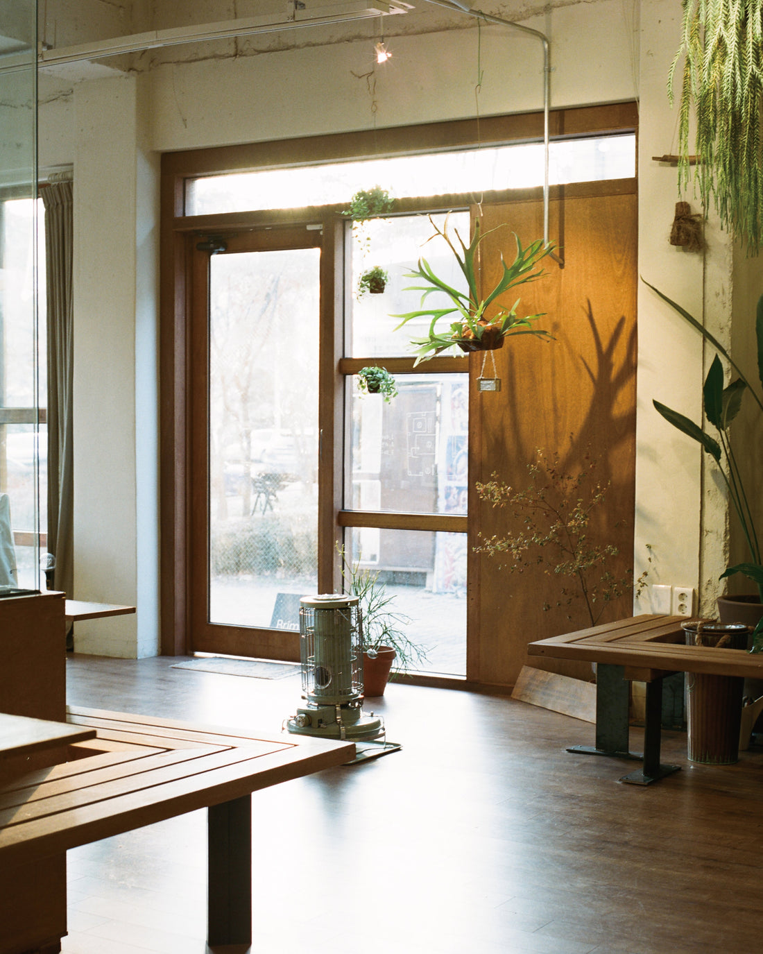 Tenui｜BRIM COFFEE
